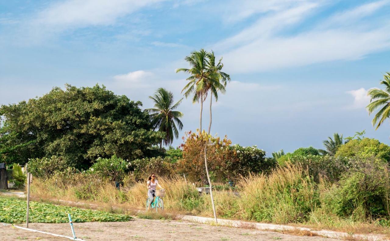 Hotel Olive Goidhoo Zewnętrze zdjęcie